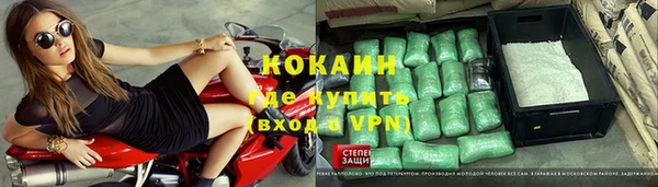 мет Алексин