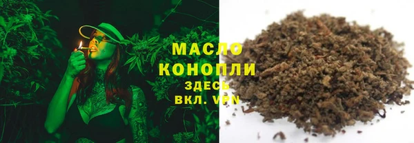 мет Алексин