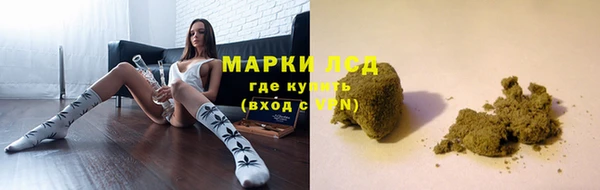 прущие грибы Дмитриев