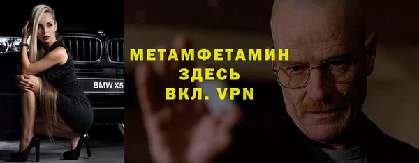 мет Алексин