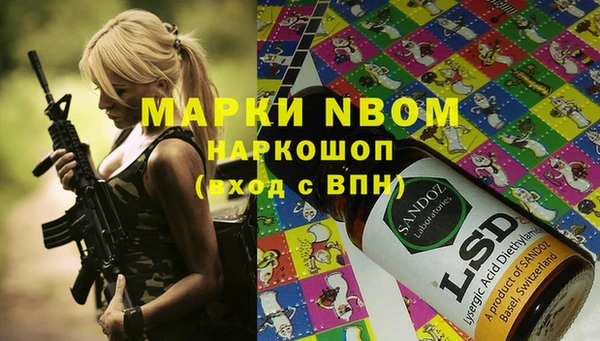 мет Алексин