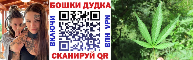 Конопля Amnesia  Сунжа 